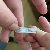 Flávia Lopes Santos