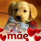 Elaine Aparecida Silva Bastos