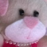 Thais Fagundes dos Santos