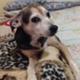 GABRIELA GOMEZ LEONI