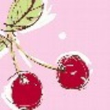 Jennipher Cherry Shinmyo Kuni