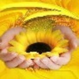 Sandra Denise Gamba Lourenço