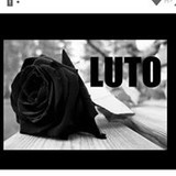 Daniela Alexandre Almeida