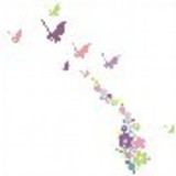 Fernanda S. Oliveira Frugeri