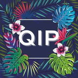 QIP