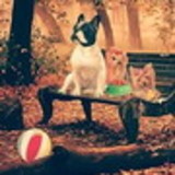 Danielle Alves Lenoir