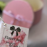 Débora Batista Meurer