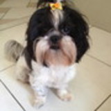 Jessica Ribeiro Matos