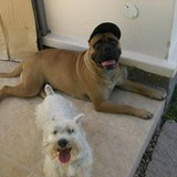 andreia gonçalves yen