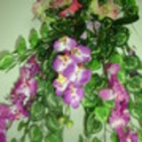 Sidneia Aparecida Boni