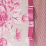 Simone dos Santos Oliveira Rocha