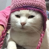 Crochê & Decoração