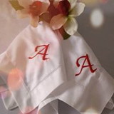 Alexandrina Nunes Coelho