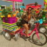 viviane de souza soares