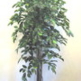 excluido_FB materiais e artesanatos para festa.