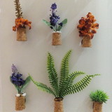 Daniele Vidal Arantes Amaral