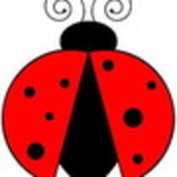 Joaninha Personalizados