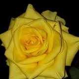 Josiane Mendes Egídio