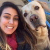 Amanda Cristoffani Marques