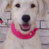 SUELI DE ASSIS VIEIRA