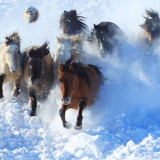 Ana Cristina Valadares Moreno