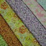 Vivian Aparecida dos Santos