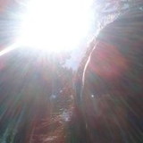 Ana Paula de Oliveira