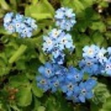 Débora Cristina Correa de Moura