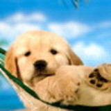 Anne Caroline Souza do Rosario