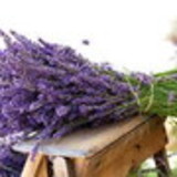 Cheiro de Gaia - Produtos Naturais.