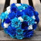 Aline Célia Caribé de Araújo Melo