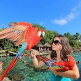 Júlia Macedo França