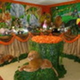 josileny de ploveira amaro