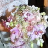 Jessica Coelho novaes