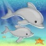 Eduardo Barbosa Gomes Guimaraes