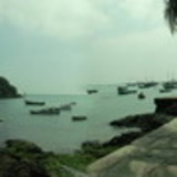 Andréia Natália Jenegn Cruz