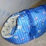 Stella Maris Alves Monteiro