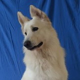 Isabela Wojciechowski