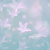 Ir para o perfil do usuário