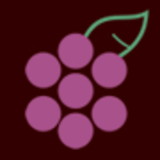 Flavia de Almeida Faria