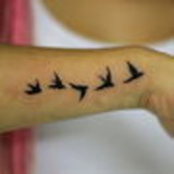 ana carolina de souza faro