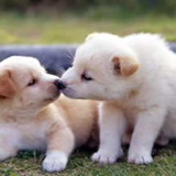 ivanilda pantoja da silva