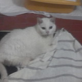 Maria de Jesus Ernesto