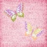 vera maria beschi borges