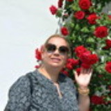 NAIR HELENA VIANA SCHINGIRY