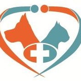 Vanessa S. Wiecheteck