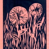 Vanessa Peressoni Waltrick