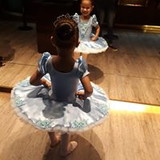 Viviana Alves de Araújo