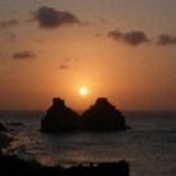 Vanessa Basso  Bacchini Laurindo