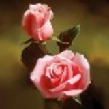 Fabiana Rodrigues de Souza